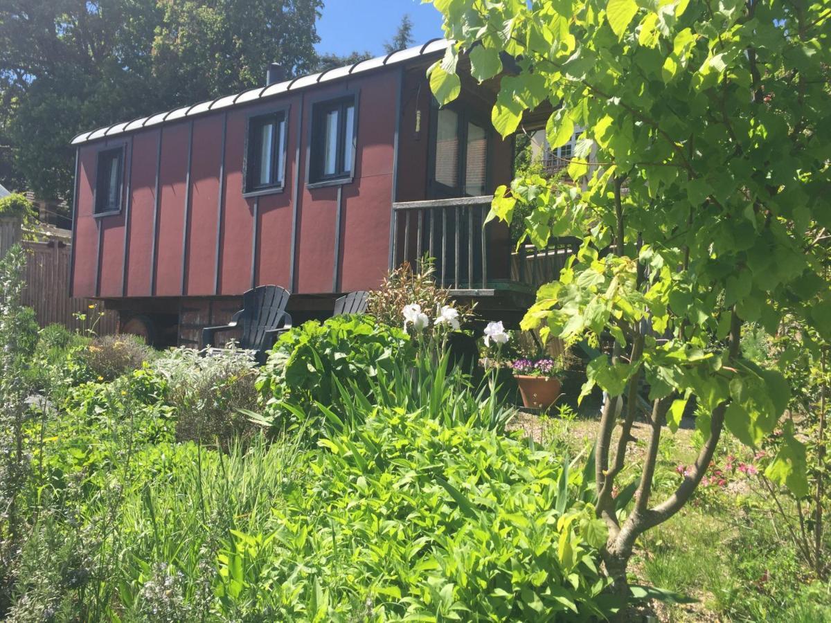 Vineyard Garden Studio Mont-Saint-Jean  Exterior foto