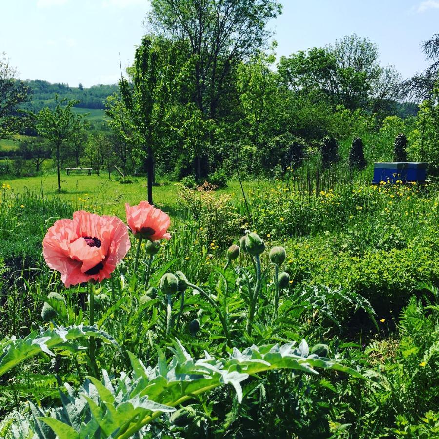 Vineyard Garden Studio Mont-Saint-Jean  Exterior foto